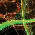 Lorsque statisticiens et designers se rencontrent, ça devient de l'art