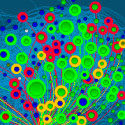 Les outils développés par les portails Blogonet et Wikio